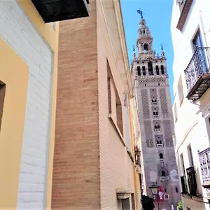 ¡en Frente De La Giralda-catedral! Apartment
